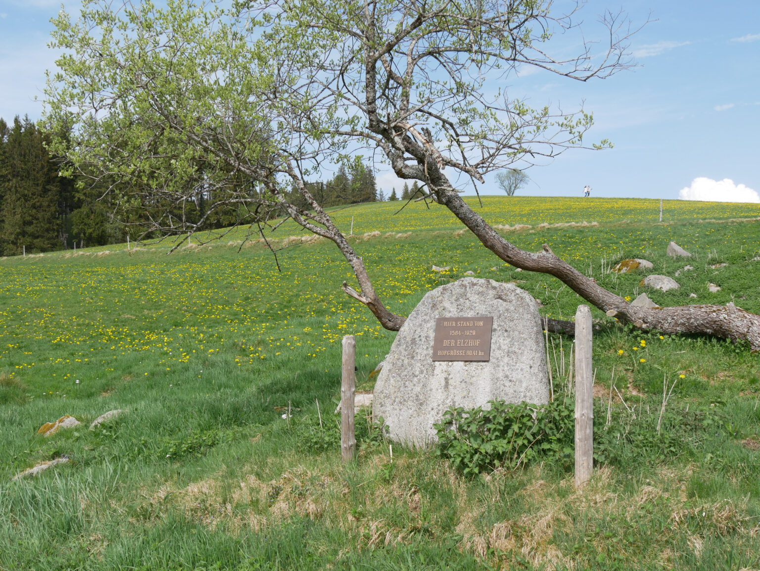 88067a6a53a732180354212e85aeb3c4d0f8acf2