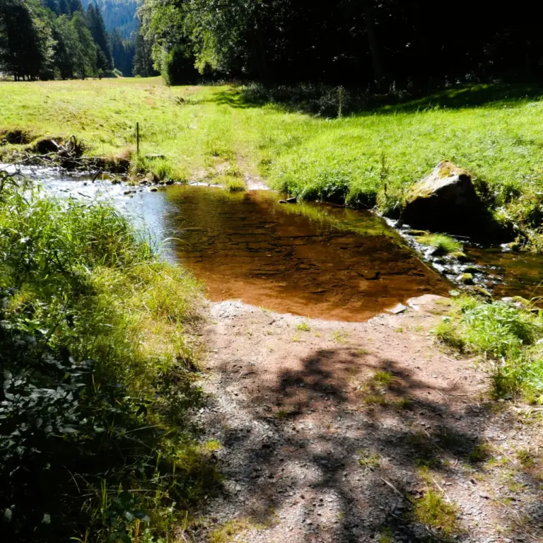 GEEK Christoph Nitschke Furt Buhlbach q