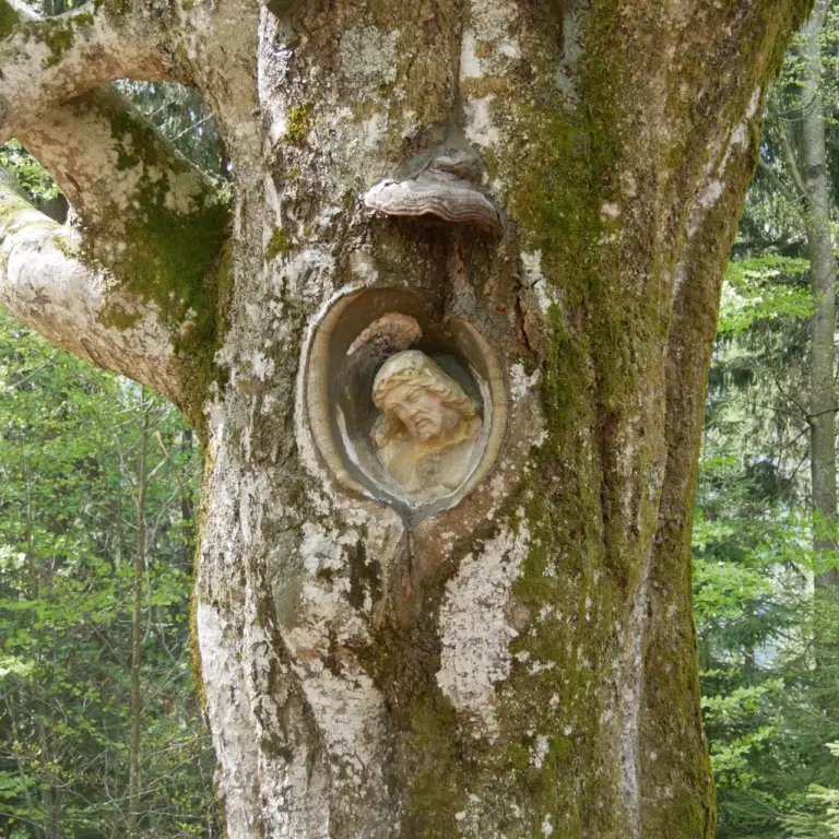 GEEK Clemens Joos Balzer Herrgott Guetenbach Sandstein in Buchenstamm q