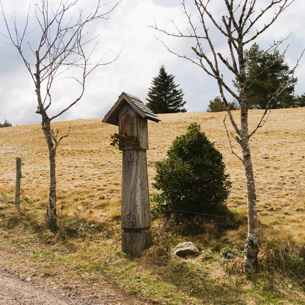 GEEK Clemens Joos Bildstock Schonach bei Schwedenschanze 1991 q