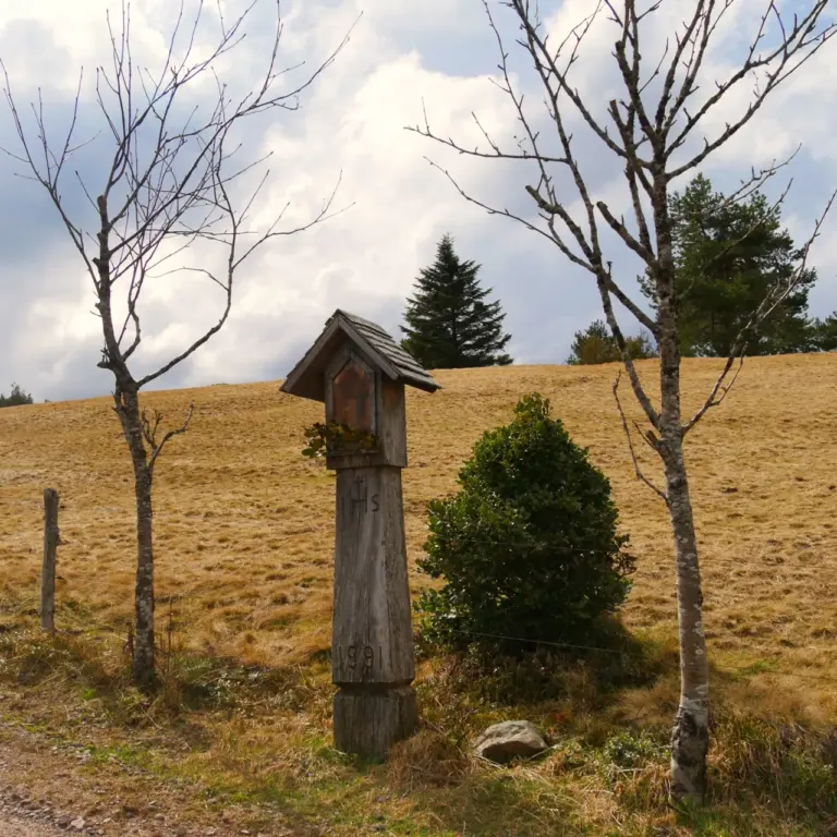 GEEK Clemens Joos Bildstock Schonach bei Schwedenschanze 1991 q