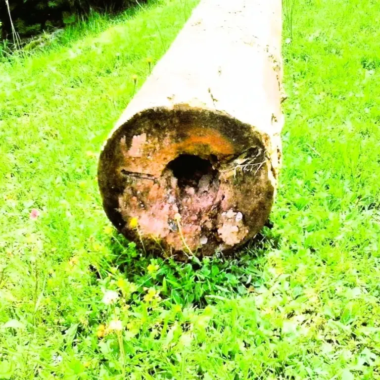 GEEK Dorothee Kuehnel Holzdeichel Baiersbronn Mitteltal q