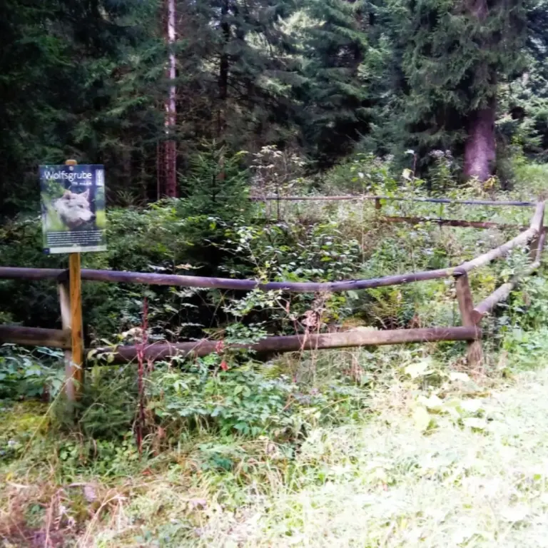 GEEK Karl Gotsch Wolfsgrube Baiersbronn Friedrichstal q