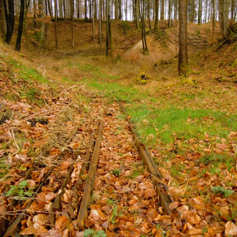 GEEK Lutz Dietrich Herbst Bohnerzgrube Königsbronn q