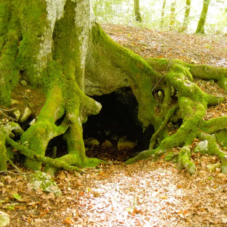 GEEK Lutz Dietrich Herbst Erzgrube Veringenstadt q