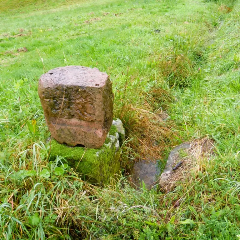 GEEK Lutz Dietrich Herbst Fallenstock Wehrwangen Wiesenwaesserung Bad Herrenalb Gaistalq