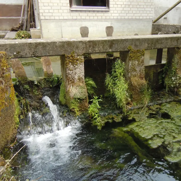 GEEK Lutz Dietrich Herbst Fallenwand Schimmelmuehle Blaubeuren q