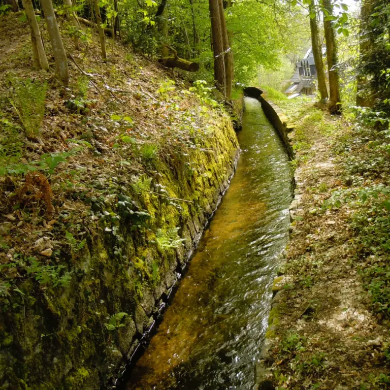 GEEK Lutz Dietrich Herbst Kanal Bad Geroldsau q