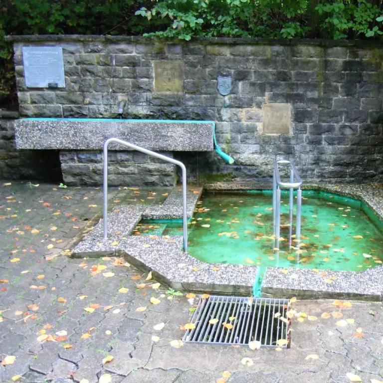 GEEK Lutz Dietrich Herbst Kneipptret und Armbadbecken Bad Rappenau Mühlbachtal q
