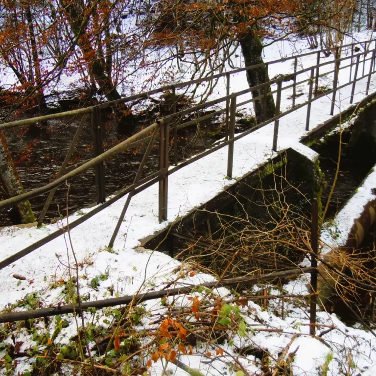 GEEK Lutz Dietrich Herbst Steg Hammerschmiede Alttann Höll. qJPG