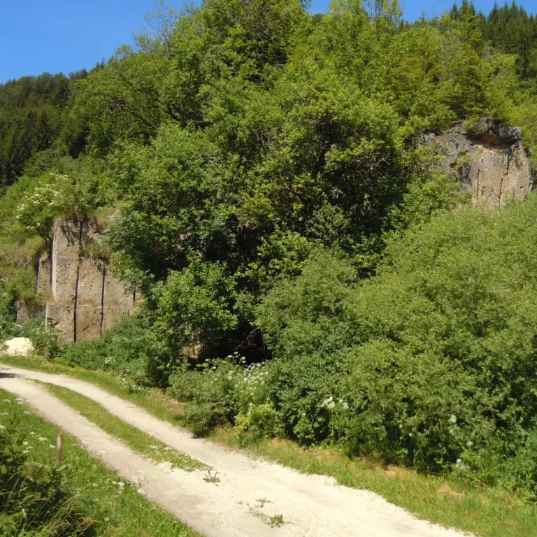 GEEK Lutz Dietrich Herbst Tuffbruch Baerenthal Ensisheim q