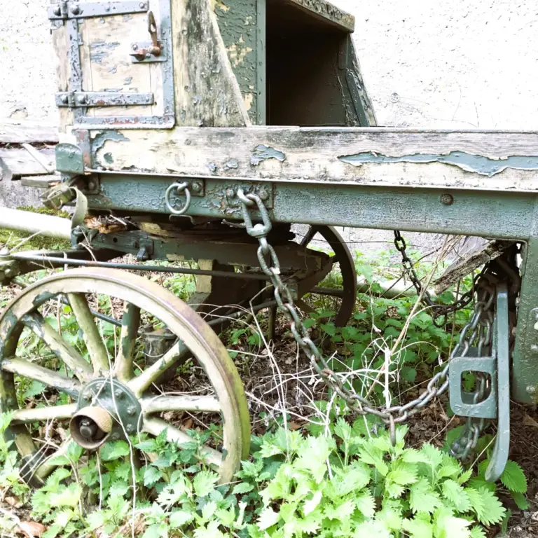 GEEK Martina Blaschka Radschuh an Wagen Singen Friedingen q