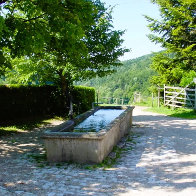 GEEK Martina Blaschka Brunnen Viehtraenke Eigeltingen Honstetten q