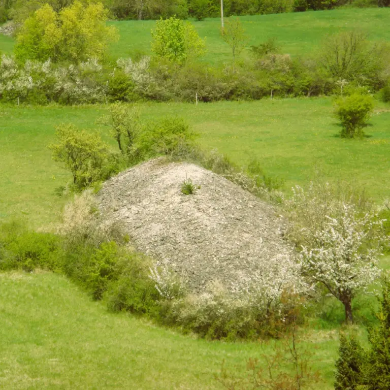 GEEK Reinhard Wolf Berg mit Steinriegeln bei Niederstetten Naturschutzgebiet Wieldentierbacher Berg q