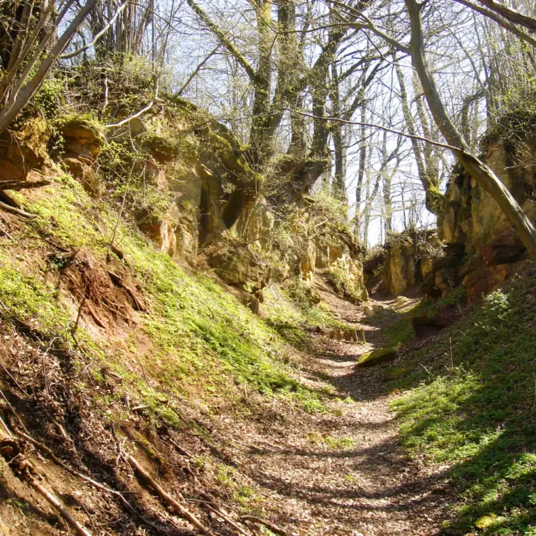 GEEK Reinhard Wolf Hohlweg Hechlingen q