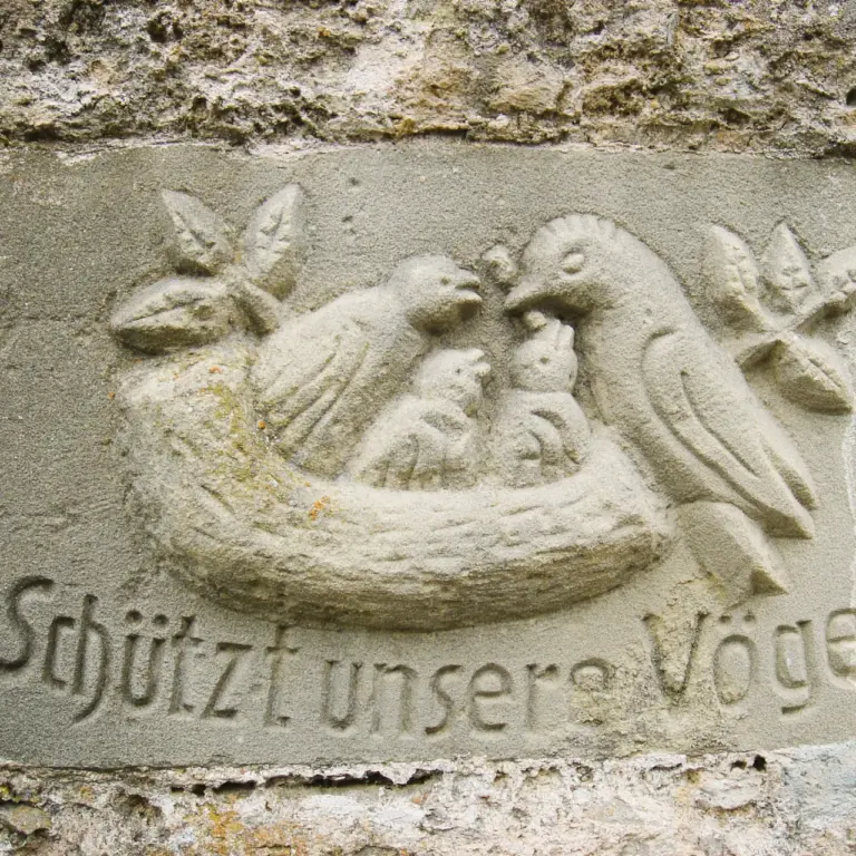 GEEK Reinhard Wolf Inschriftstein Schwieberdingen am Eingang zur Ruine Nippenburg q