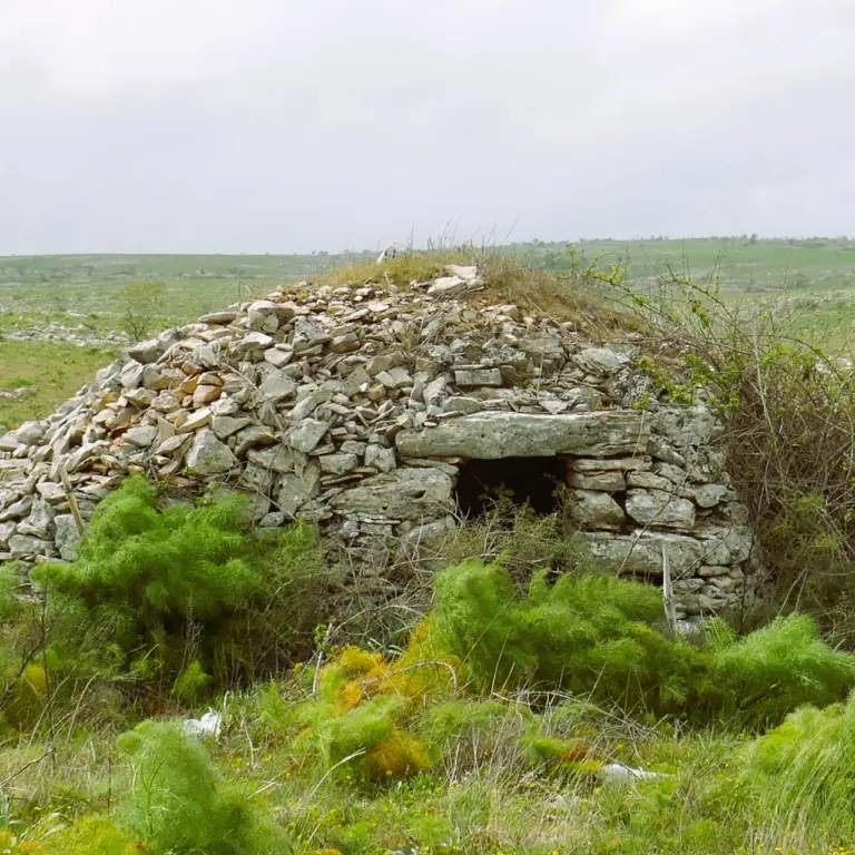GEEK Reinhard Wolf Unterstand für Hirten auf Schafweide q