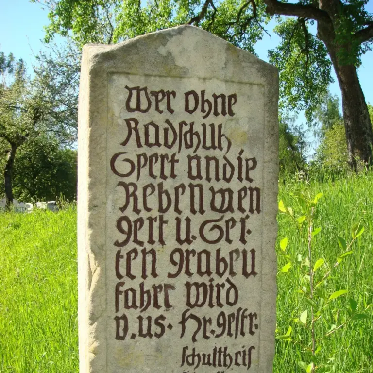 GEEK Reinhard Wolf Verkehrszeichen Radschuhstein bei Auenwald Ebersberg(2) q