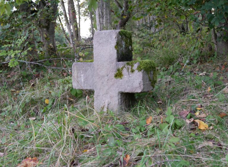 fe7e7ed3d228adf98a8d62f90af0c6ae